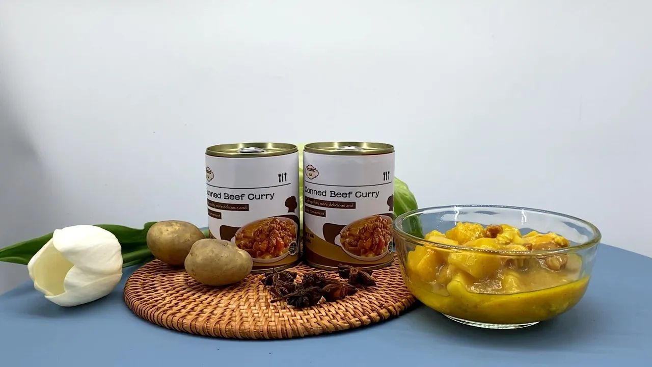 Tianz Canned Beef Curry 240g