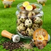 Braised Quail Eggs Individual Vacuum Pack High Protein Ready to Eat Snack Rich Savory Flavor
