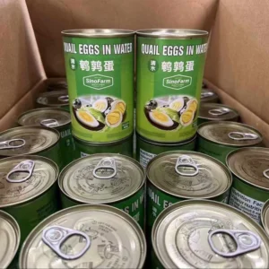 Canned Quail Eggs 20pcs Pack Brown Shell Brine Preserved Boiled Eggs