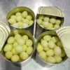 Canned Quail Eggs Cooked Boiled Peeled Tamago for Nabe Oden Skewers Food Service Japan