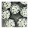 Canned Quail Eggs Fertilized Hatching Eggs Professional Breeder Grade 20pcs 24 Tins Per Carton