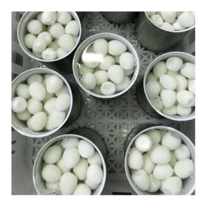 Canned Quail Eggs Fertilized Hatching Eggs Professional Breeder Grade 20pcs 24 Tins Per Carton