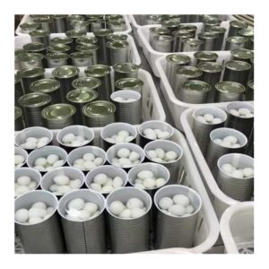 Canned Quail Eggs for Hatching Fertilized Quail Eggs Professional Supplier
