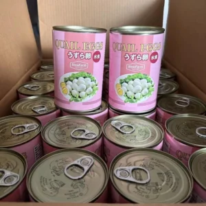 Canned quail egg Custom Logo Instant Quail Eggs Factory Direct Sale for Food Use