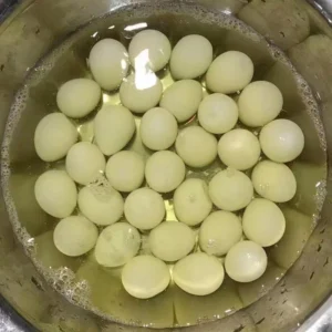 PREMIUM QUALITY CANNED QUAIL EGGS SUPPLIER HOT DEAL BULK EXPORT TOP SALES READY TO EAT