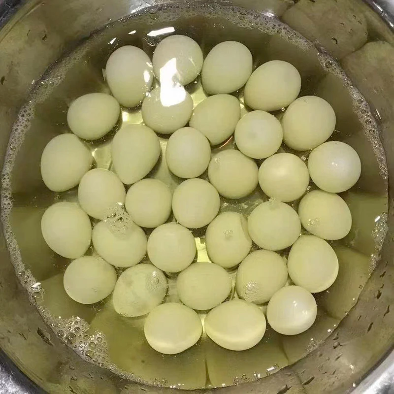 PREMIUM QUALITY CANNED QUAIL EGGS SUPPLIER HOT DEAL BULK EXPORT TOP SALES READY TO EAT PREMIUM QUALITY CANNED QUAIL EGGS SUPPLIER HOT DEAL BULK EXPORT TOP SALES READY TO EAT