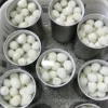 Premium Quality Canned Quail Eggs Supplier Bulk Export Natural Healthy Snack Food Ready to Ship