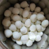 SUPPLY Viet Delta Canned Quail Eggs Global Export